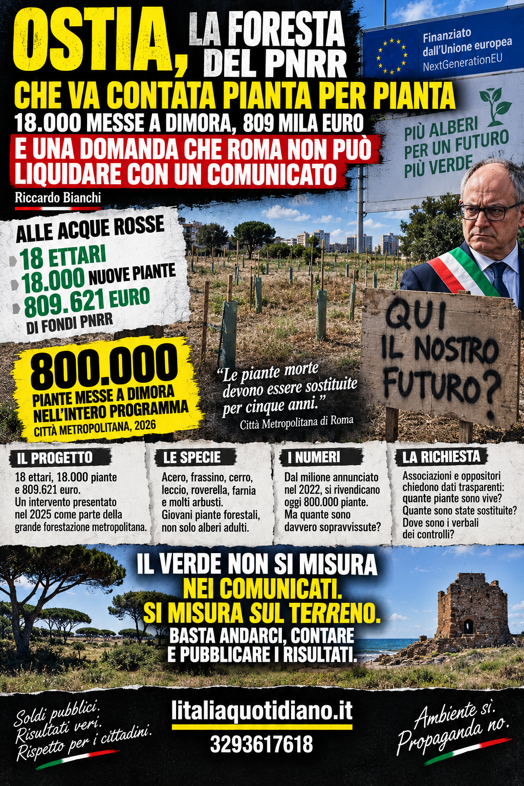 OSTIA, LA FORESTA DEL PNRR CHE VA CONTATA PIANTA PER PIANTA: 18.000 MESSE A DIMORA, 809 MILA EURO E UNA DOMANDA CHE ROMA NON PUÒ LIQUIDARE CON UN COMUNICATO
